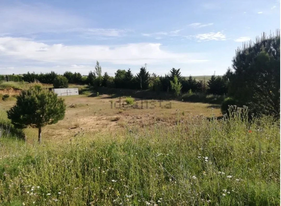 Terreno en via A66, km 289, Morales del Vino